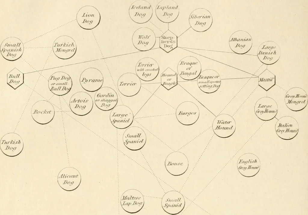 An illustration from A London encyclopaedia, or universal dictionary of science, art, literature and practical mechanics : comprising a popular view of the present state of knowledge : illustrated by numerous engravings, a general atlas, and appropriate diagrams, 1829, leaf 409