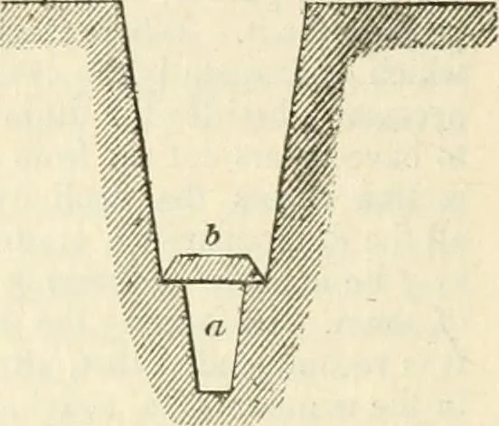 An illustration from A London encyclopaedia, or universal dictionary of science, art, literature and practical mechanics : comprising a popular view of the present state of knowledge : illustrated by numerous engravings, a general atlas, and appropriate diagrams, 1829, leaf 479