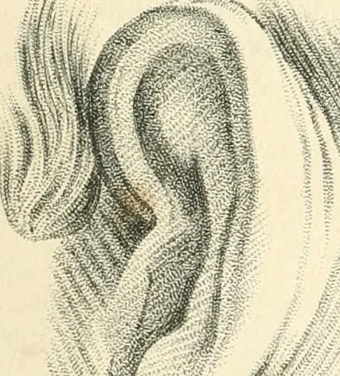 An illustration from A London encyclopaedia, or universal dictionary of science, art, literature and practical mechanics : comprising a popular view of the present state of knowledge : illustrated by numerous engravings, a general atlas, and appropriate diagrams, 1829, leaf 498