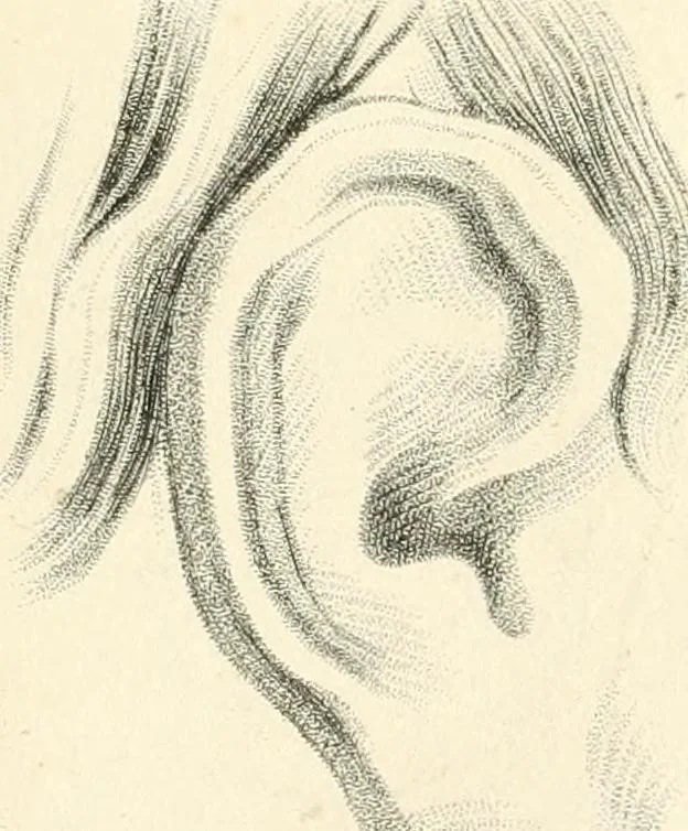 An illustration from A London encyclopaedia, or universal dictionary of science, art, literature and practical mechanics : comprising a popular view of the present state of knowledge : illustrated by numerous engravings, a general atlas, and appropriate diagrams, 1829, leaf 498