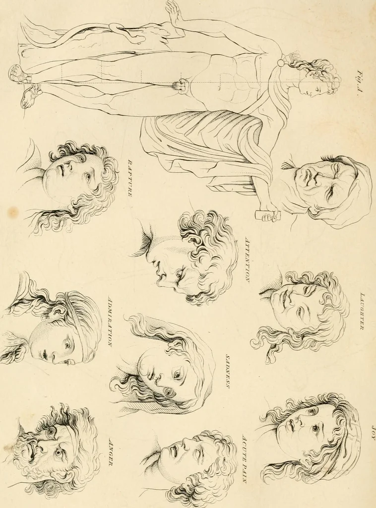 An illustration from A London encyclopaedia, or universal dictionary of science, art, literature and practical mechanics : comprising a popular view of the present state of knowledge : illustrated by numerous engravings, a general atlas, and appropriate diagrams, 1829, leaf 501