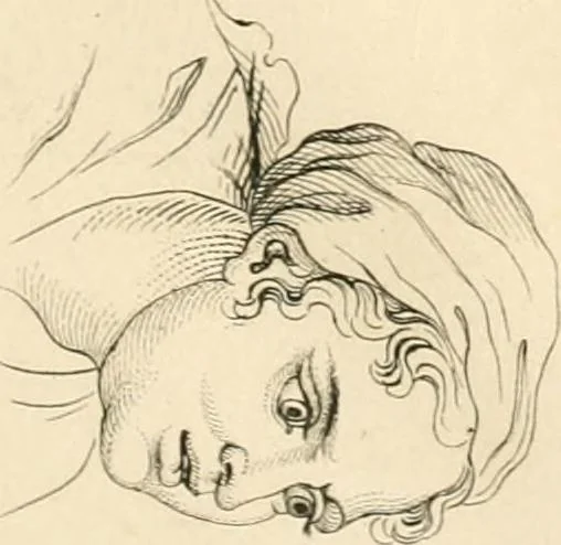 An illustration from A London encyclopaedia, or universal dictionary of science, art, literature and practical mechanics : comprising a popular view of the present state of knowledge : illustrated by numerous engravings, a general atlas, and appropriate diagrams, 1829, leaf 501