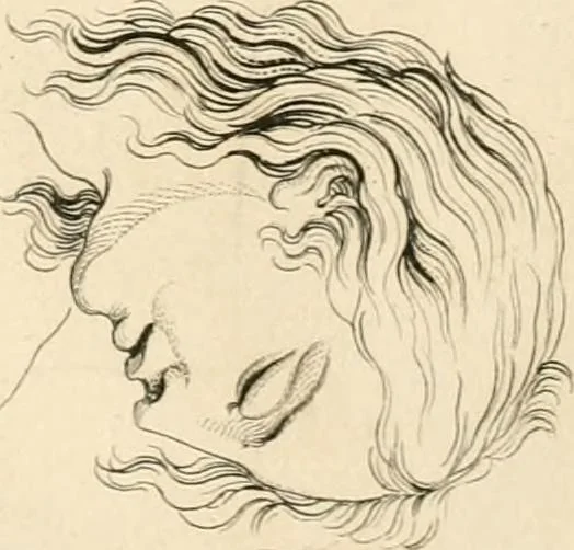 An illustration from A London encyclopaedia, or universal dictionary of science, art, literature and practical mechanics : comprising a popular view of the present state of knowledge : illustrated by numerous engravings, a general atlas, and appropriate diagrams, 1829, leaf 501