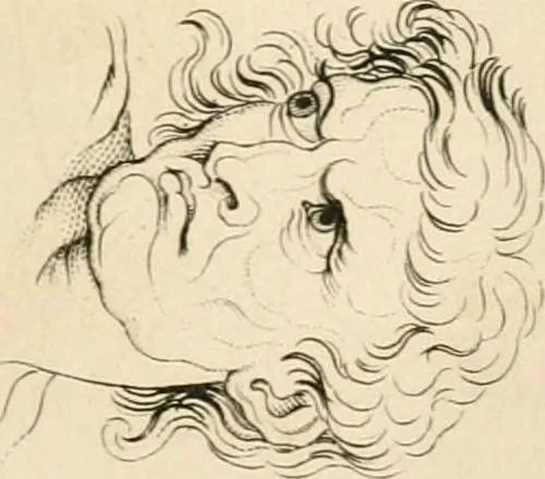 An illustration from A London encyclopaedia, or universal dictionary of science, art, literature and practical mechanics : comprising a popular view of the present state of knowledge : illustrated by numerous engravings, a general atlas, and appropriate diagrams, 1829, leaf 501