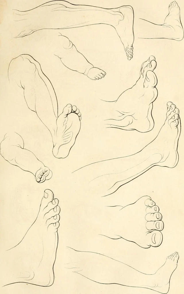 An illustration from A London encyclopaedia, or universal dictionary of science, art, literature and practical mechanics : comprising a popular view of the present state of knowledge : illustrated by numerous engravings, a general atlas, and appropriate diagrams, 1829, leaf 502
