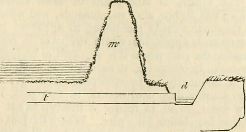 An illustration from A London encyclopaedia, or universal dictionary of science, art, literature and practical mechanics : comprising a popular view of the present state of knowledge : illustrated by numerous engravings, a general atlas, and appropriate diagrams, 1829, leaf 220