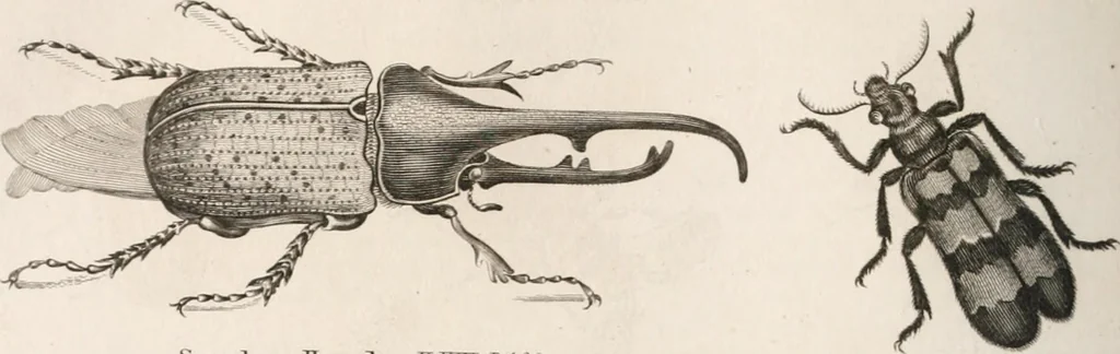 An illustration from A London encyclopaedia, or universal dictionary of science, art, literature and practical mechanics : comprising a popular view of the present state of knowledge : illustrated by numerous engravings, a general atlas, and appropriate diagrams, 1829, leaf 477