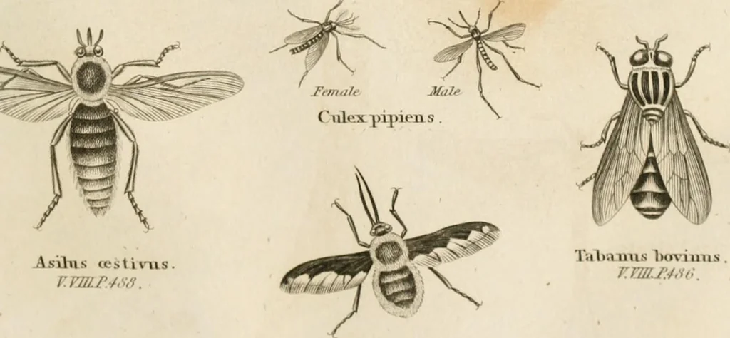 An illustration from A London encyclopaedia, or universal dictionary of science, art, literature and practical mechanics : comprising a popular view of the present state of knowledge : illustrated by numerous engravings, a general atlas, and appropriate diagrams, 1829, leaf 482