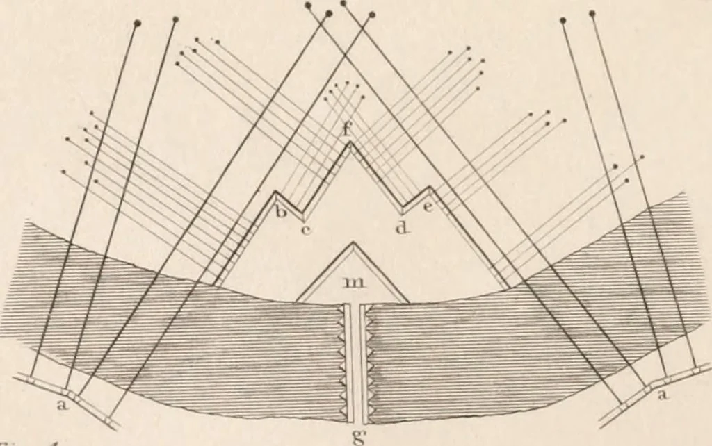 An illustration from A London encyclopaedia, or universal dictionary of science, art, literature and practical mechanics : comprising a popular view of the present state of knowledge : illustrated by numerous engravings, a general atlas, and appropriate diagrams, 1829, leaf 479