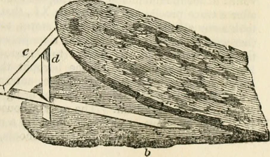 An illustration from A London encyclopaedia, or universal dictionary of science, art, literature and practical mechanics : comprising a popular view of the present state of knowledge : illustrated by numerous engravings, a general atlas, and appropriate diagrams, 1829, leaf 538