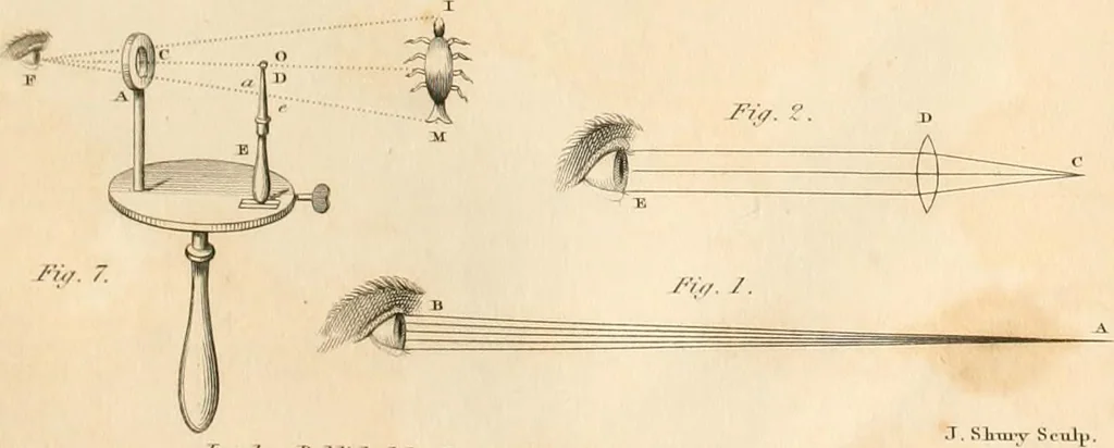 An illustration from A London encyclopaedia, or universal dictionary of science, art, literature and practical mechanics : comprising a popular view of the present state of knowledge : illustrated by numerous engravings, a general atlas, and appropriate diagrams, 1829, leaf 516