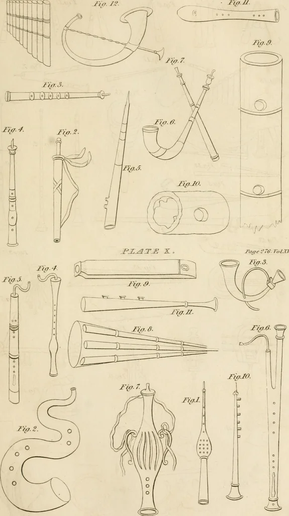 An illustration from A London encyclopaedia, or universal dictionary of science, art, literature and practical mechanics : comprising a popular view of the present state of knowledge : illustrated by numerous engravings, a general atlas, and appropriate diagrams, 1829, leaf 310