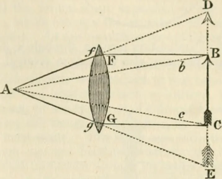 An illustration from A London encyclopaedia, or universal dictionary of science, art, literature and practical mechanics : comprising a popular view of the present state of knowledge : illustrated by numerous engravings, a general atlas, and appropriate diagrams, 1829, leaf 268