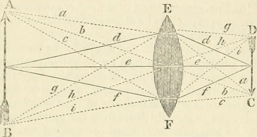 An illustration from A London encyclopaedia, or universal dictionary of science, art, literature and practical mechanics : comprising a popular view of the present state of knowledge : illustrated by numerous engravings, a general atlas, and appropriate diagrams, 1829, leaf 291