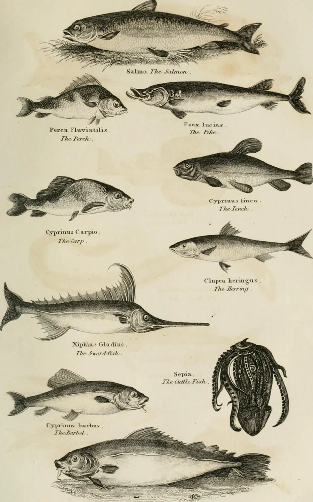 An illustration from A London encyclopaedia, or universal dictionary of science, art, literature and practical mechanics : comprising a popular view of the present state of knowledge : illustrated by numerous engravings, a general atlas, and appropriate diagrams, 1829, leaf 452