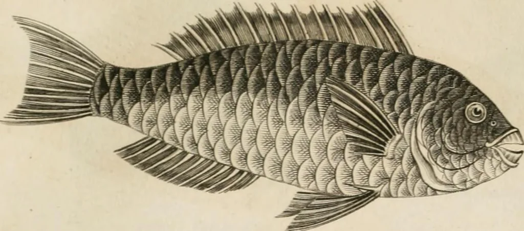 An illustration from A London encyclopaedia, or universal dictionary of science, art, literature and practical mechanics : comprising a popular view of the present state of knowledge : illustrated by numerous engravings, a general atlas, and appropriate diagrams, 1829, leaf 457