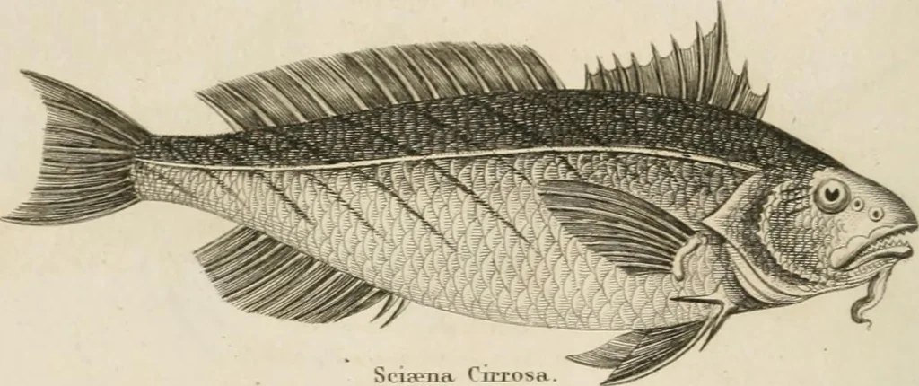 An illustration from A London encyclopaedia, or universal dictionary of science, art, literature and practical mechanics : comprising a popular view of the present state of knowledge : illustrated by numerous engravings, a general atlas, and appropriate diagrams, 1829, leaf 457