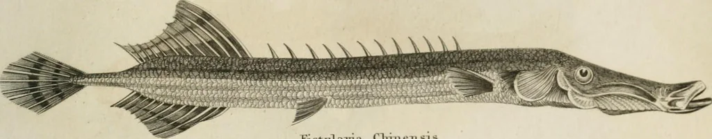 An illustration from A London encyclopaedia, or universal dictionary of science, art, literature and practical mechanics : comprising a popular view of the present state of knowledge : illustrated by numerous engravings, a general atlas, and appropriate diagrams, 1829, leaf 458