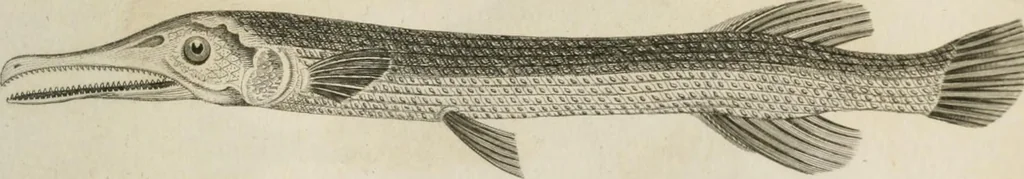 An illustration from A London encyclopaedia, or universal dictionary of science, art, literature and practical mechanics : comprising a popular view of the present state of knowledge : illustrated by numerous engravings, a general atlas, and appropriate diagrams, 1829, leaf 458