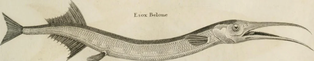 An illustration from A London encyclopaedia, or universal dictionary of science, art, literature and practical mechanics : comprising a popular view of the present state of knowledge : illustrated by numerous engravings, a general atlas, and appropriate diagrams, 1829, leaf 458