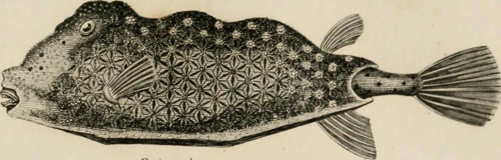 An illustration from A London encyclopaedia, or universal dictionary of science, art, literature and practical mechanics : comprising a popular view of the present state of knowledge : illustrated by numerous engravings, a general atlas, and appropriate diagrams, 1829, leaf 460