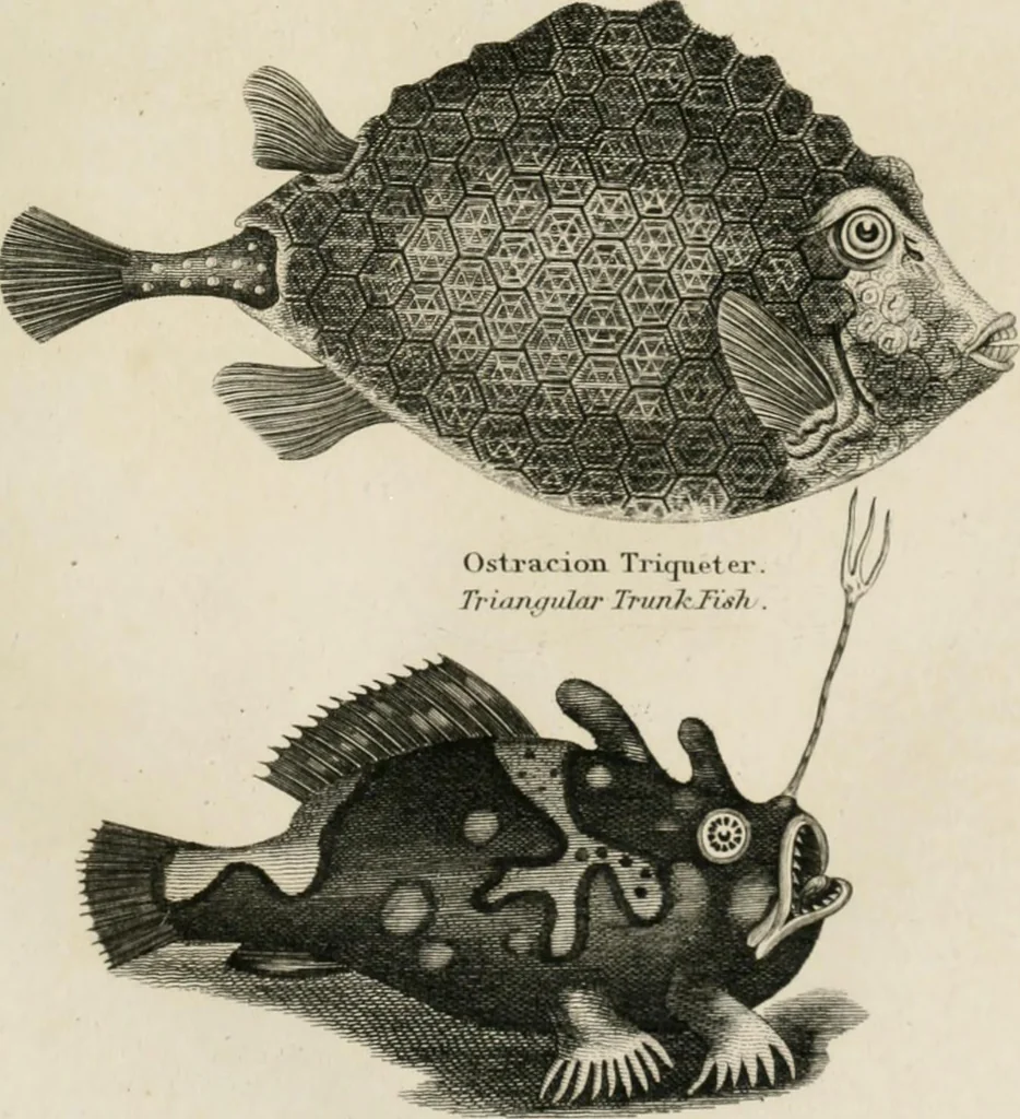 An illustration from A London encyclopaedia, or universal dictionary of science, art, literature and practical mechanics : comprising a popular view of the present state of knowledge : illustrated by numerous engravings, a general atlas, and appropriate diagrams, 1829, leaf 460