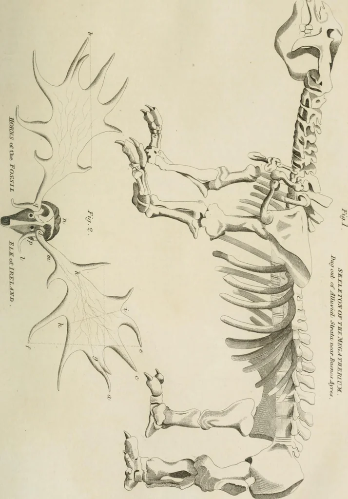 An illustration from A London encyclopaedia, or universal dictionary of science, art, literature and practical mechanics : comprising a popular view of the present state of knowledge : illustrated by numerous engravings, a general atlas, and appropriate diagrams, 1829, leaf 500