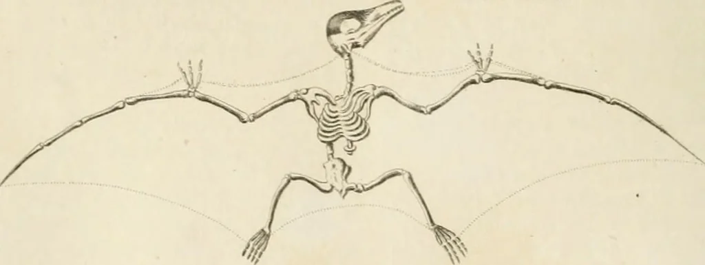 An illustration from A London encyclopaedia, or universal dictionary of science, art, literature and practical mechanics : comprising a popular view of the present state of knowledge : illustrated by numerous engravings, a general atlas, and appropriate diagrams, 1829, leaf 505