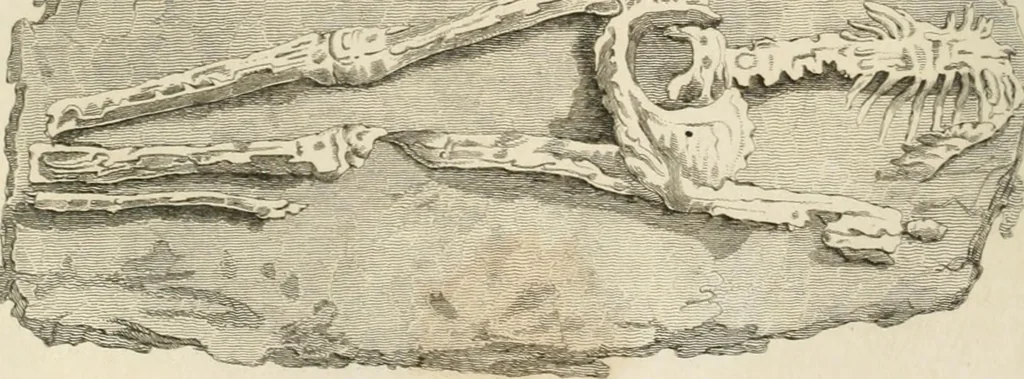 An illustration from A London encyclopaedia, or universal dictionary of science, art, literature and practical mechanics : comprising a popular view of the present state of knowledge : illustrated by numerous engravings, a general atlas, and appropriate diagrams, 1829, leaf 505