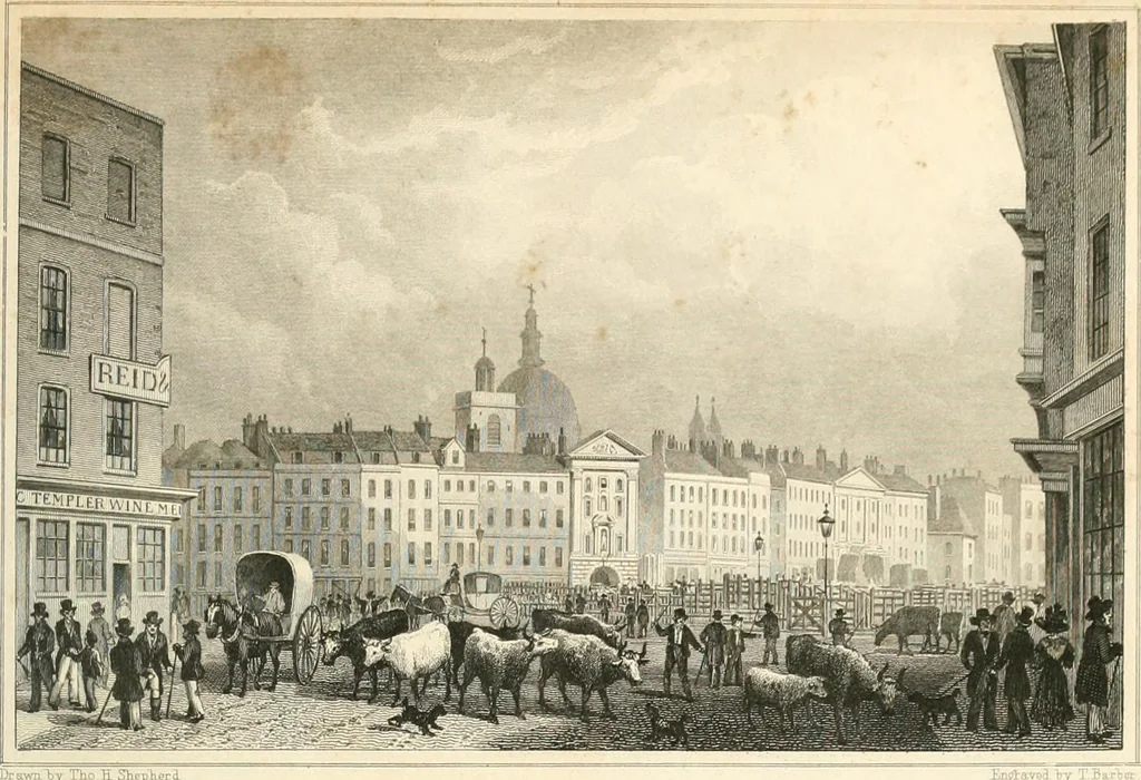 An illustration from London and its environs in the nineteenth century : illustrated by a series of views from original drawings, 1831, leaf 244