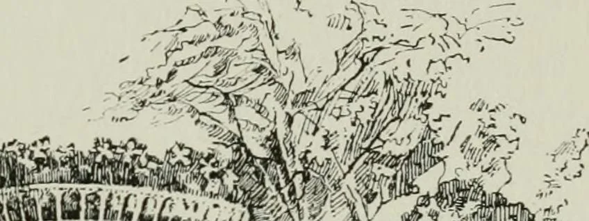 An illustration from London parks and gardens, 1907, leaf 140