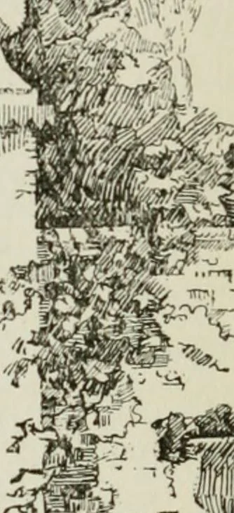 An illustration from London parks and gardens, 1907, leaf 413