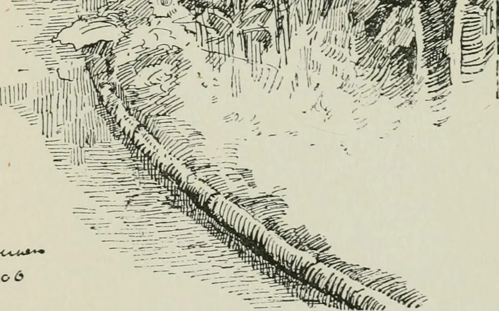An illustration from London parks and gardens, 1907, leaf 464