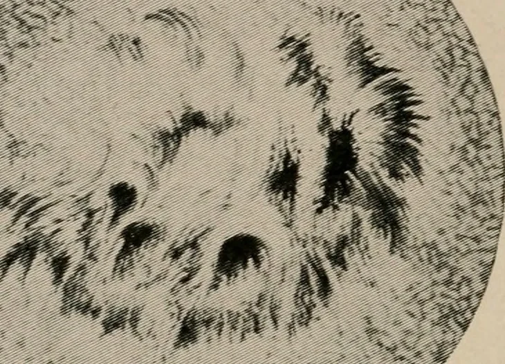 An illustration from Looking skyward and the earth, illustrated, 1911, leaf 31