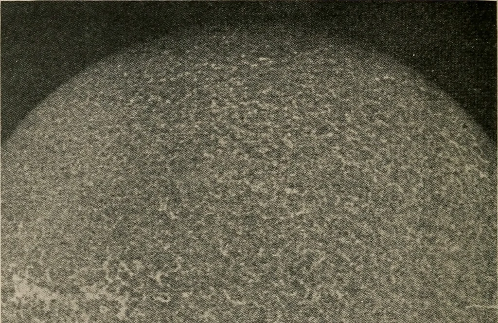 An illustration from Looking skyward and the earth, illustrated, 1911, leaf 35