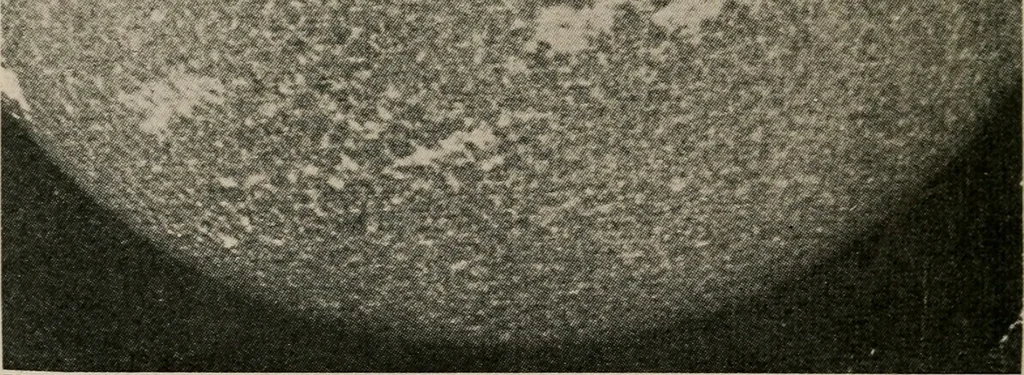 An illustration from Looking skyward and the earth, illustrated, 1911, leaf 35