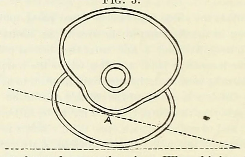 An illustration from The loom-fixers' manual;, 1883, leaf 90