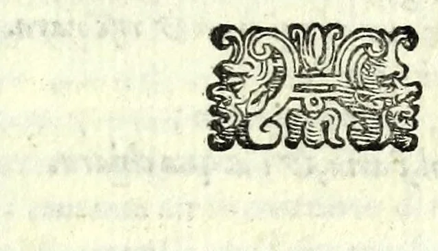 An illustration from L'opere di M. Givlio Camillo .., 1584, leaf 199