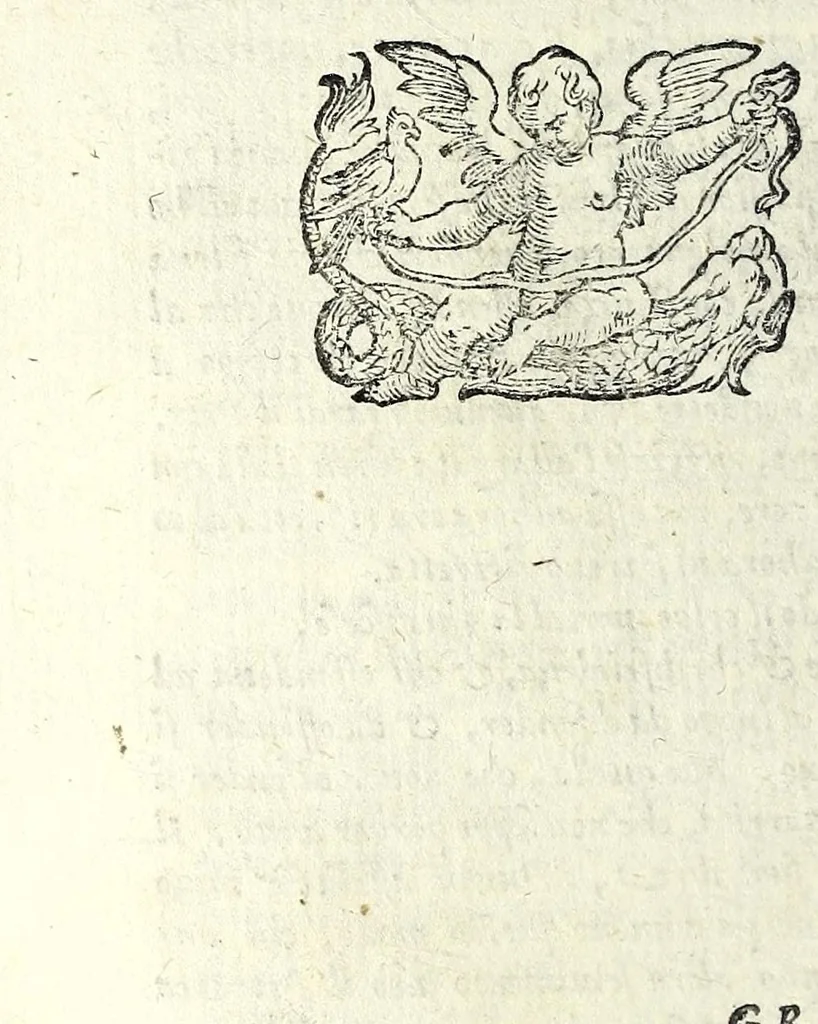 An illustration from L'opere di M. Givlio Camillo .., 1584, leaf 438