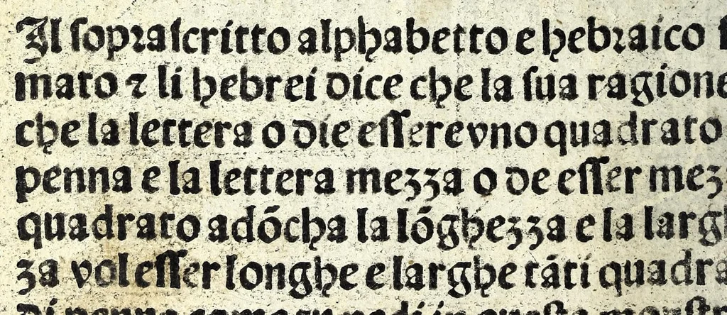 An illustration from Lo presente libro insegna la vera arte delo excelle[n]te scriuere de diuerse varie sorti de litere : lequali se fano p[e]r geometrica ragione & con la presente opera ognuno le potra imparare impochi giorni p[er] lo amaistramento, ragione, & essempli, come qui seguente vederai, 1539, leaf 46