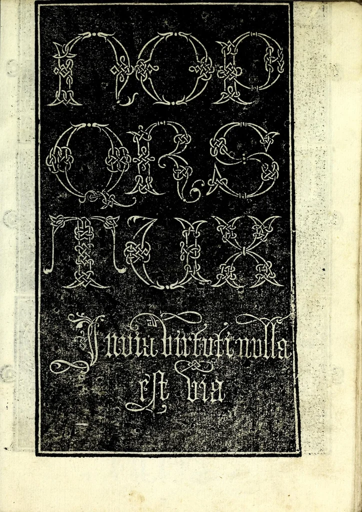 An illustration from Lo presente libro insegna la vera arte delo excelle[n]te scriuere de diuerse varie sorti de litere : lequali se fano p[e]r geometrica ragione & con la presente opera ognuno le potra imparare impochi giorni p[er] lo amaistramento, ragione, & essempli, come qui seguente vederai, 1539, leaf 49
