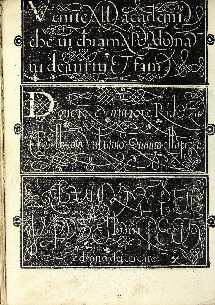 An illustration from Lo presente libro insegna la vera arte delo excelle[n]te scriuere de diuerse varie sorti de litere : lequali se fano p[e]r geometrica ragione & con la presente opera ognuno le potra imparare impochi giorni p[er] lo amaistramento, ragione, & essempli, come qui seguente vederai, 1539, leaf 50
