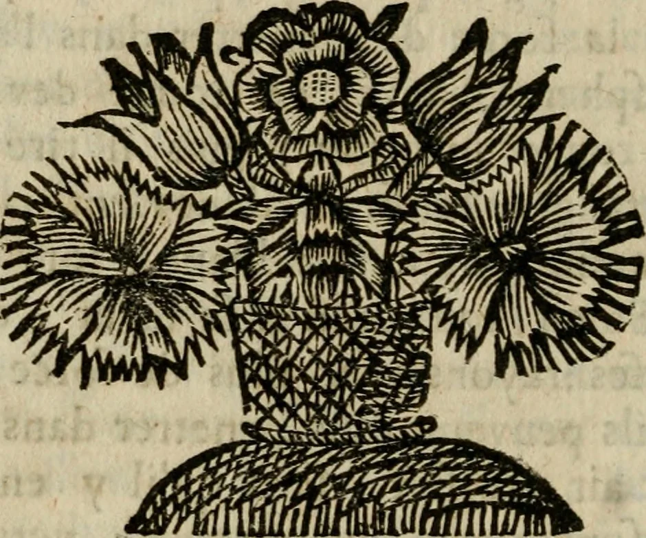 An illustration from L'optique divisée en trois livres : ou, l'On démontre d'une maniere aisée tout ce qui regarde 1. la propagation & les proprietez de la lumiere. 2. La vision. 3. La figure & la disposition des verres qui servent à la perfefectionner [sic], 1682, leaf 139
