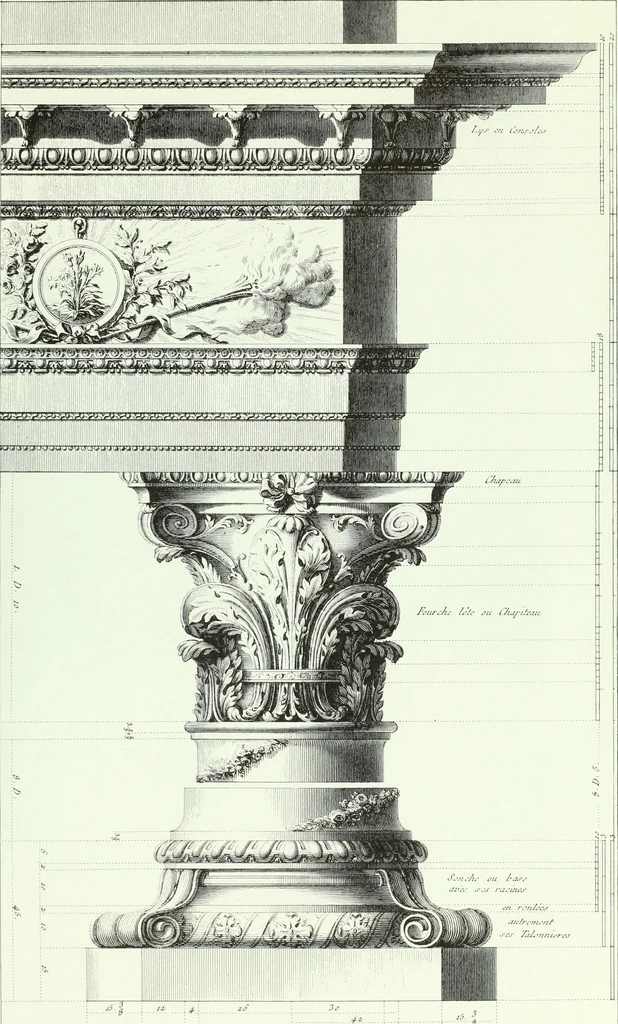 An illustration from L'ordre françois trouvé dans la nature, présenté au roi le 21 septembre 1776. Orné de planches gravées d'après les dessins de l'auteur, 1783, leaf 78