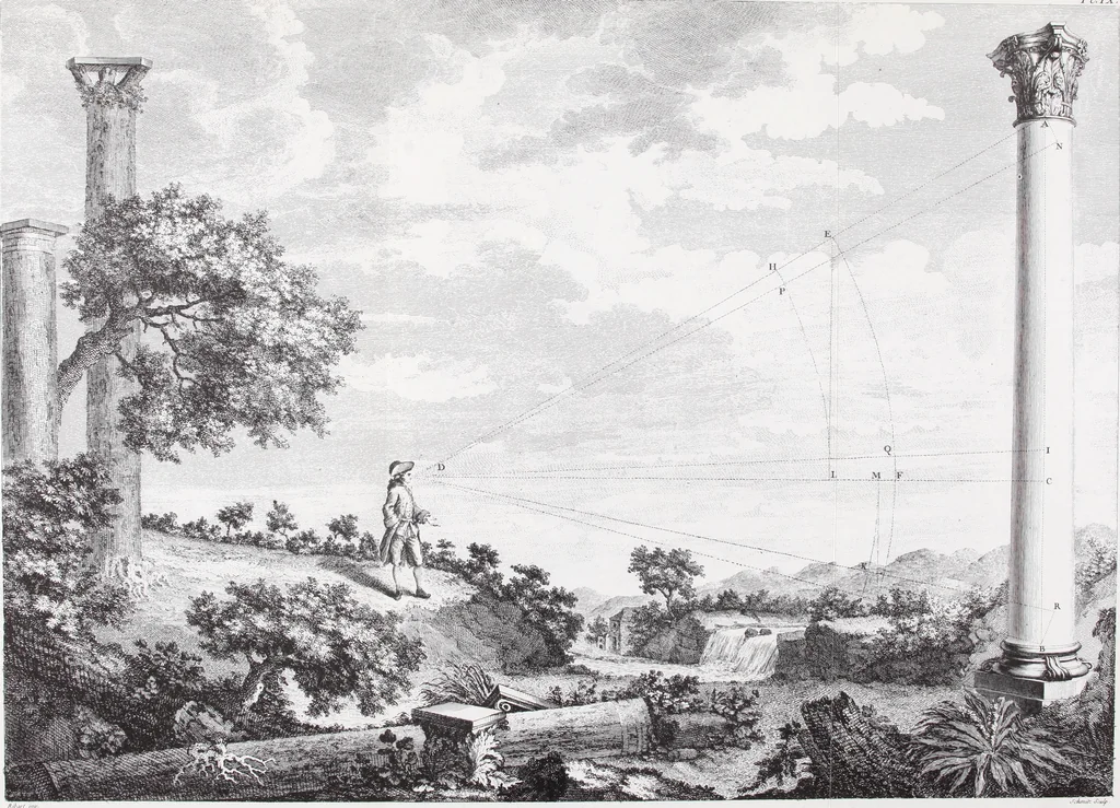An illustration from L'ordre françois trouvé dans la nature, présenté au roi le 21 septembre 1776. Orné de planches gravées d'après les dessins de l'auteur, 1783, leaf 84
