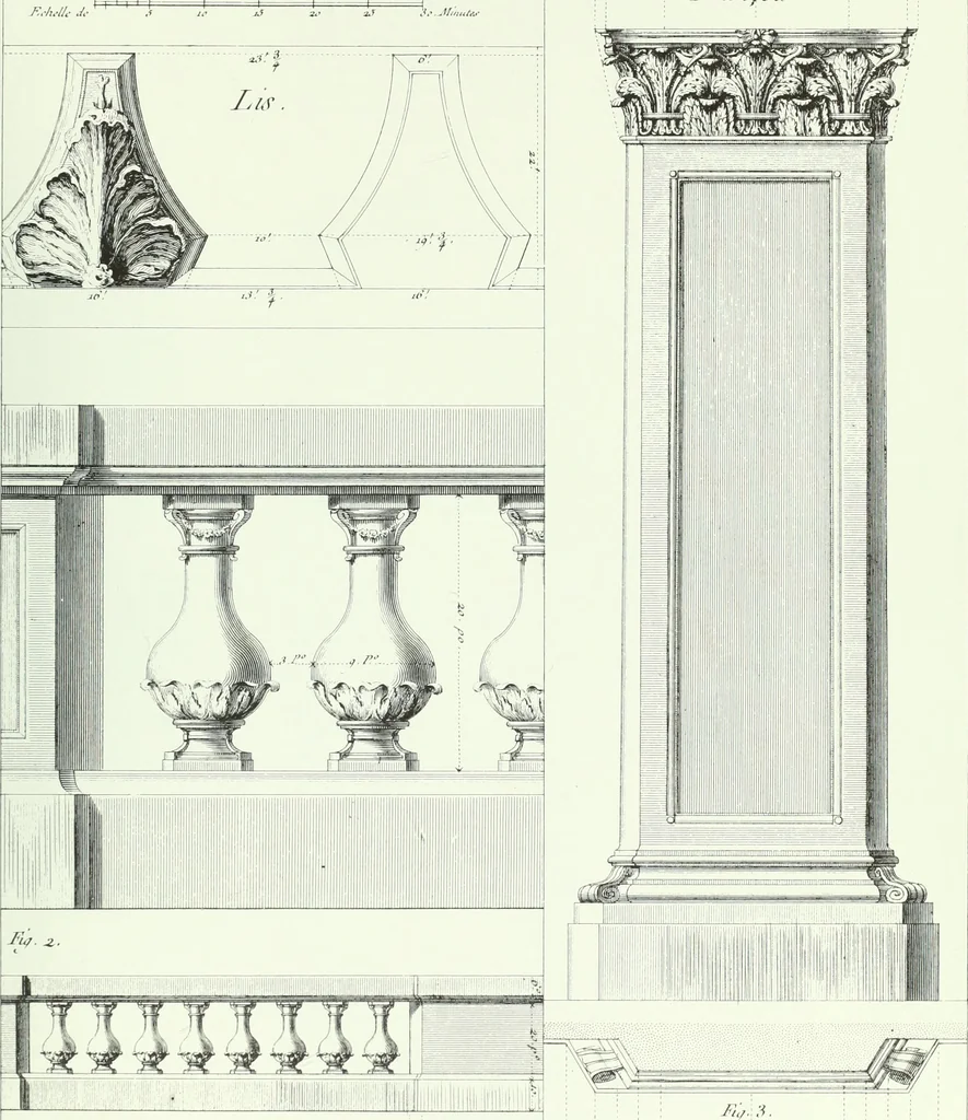 An illustration from L'ordre françois trouvé dans la nature, présenté au roi le 21 septembre 1776. Orné de planches gravées d'après les dessins de l'auteur, 1783, leaf 94