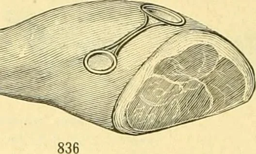 An illustration from L'orfevrerie d'Ercuis ... fonderies, laminoirs et ateliers d'orfevrerie, d'argenture et dorure a Ercuis (Oise)., 1911, leaf 103