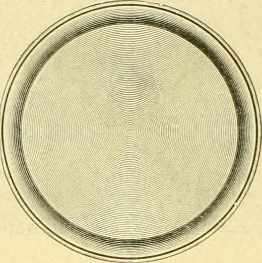 An illustration from L'orfevrerie d'Ercuis ... fonderies, laminoirs et ateliers d'orfevrerie, d'argenture et dorure a Ercuis (Oise)., 1911, leaf 167