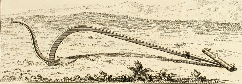 An illustration from De l'origine des loix, des arts, et des sciences, et de leurs progrès chez les anciens peuples, 1758, leaf 116