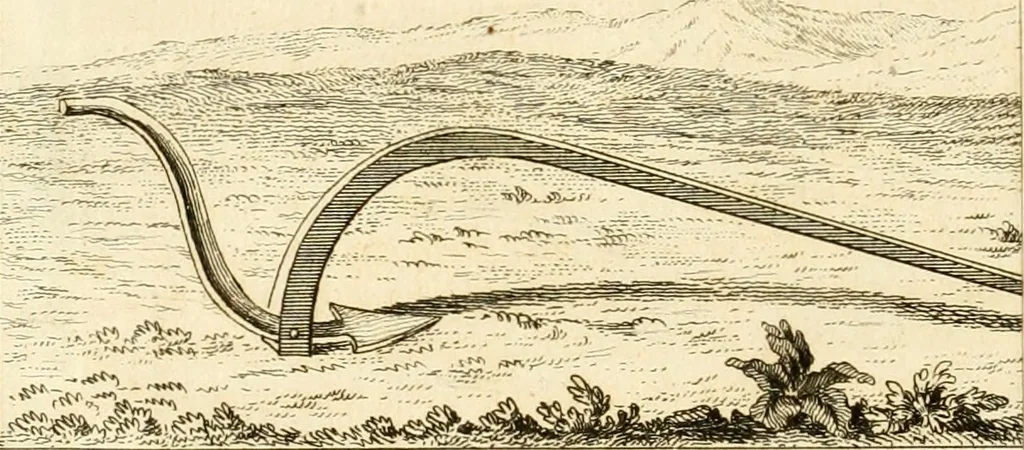 An illustration from De l'origine des loix, des arts, et des sciences, et de leurs progrès chez les anciens peuples, 1758, leaf 117